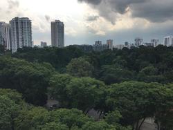 The Scotts Tower (D9), Condominium #147718722